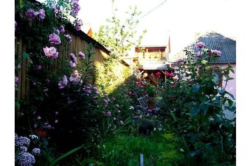 Rumunsko Privát Vişeu de Sus, Exteriér